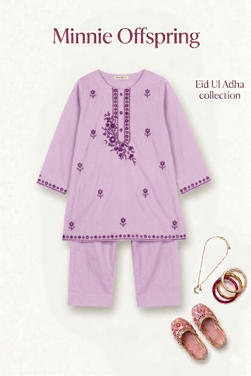 Embroidered Kameez & Trousers