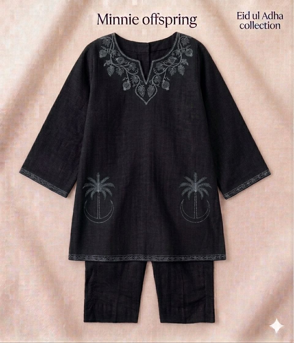 Embroidered Kameez & Trouser