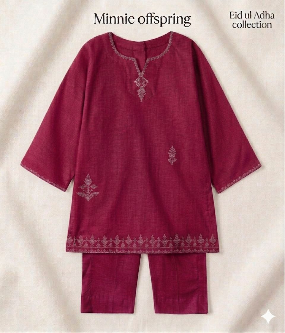 Embroidered Kameez & Trouser