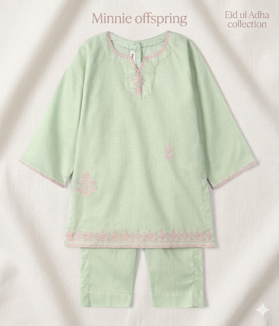 Embroidered Kameez & Trousers