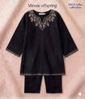 Embroidered Kameez & Trouser