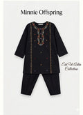 Embroidered Kameez & Trousers