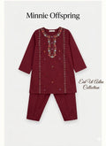 Embroidered Kameez & Trousers