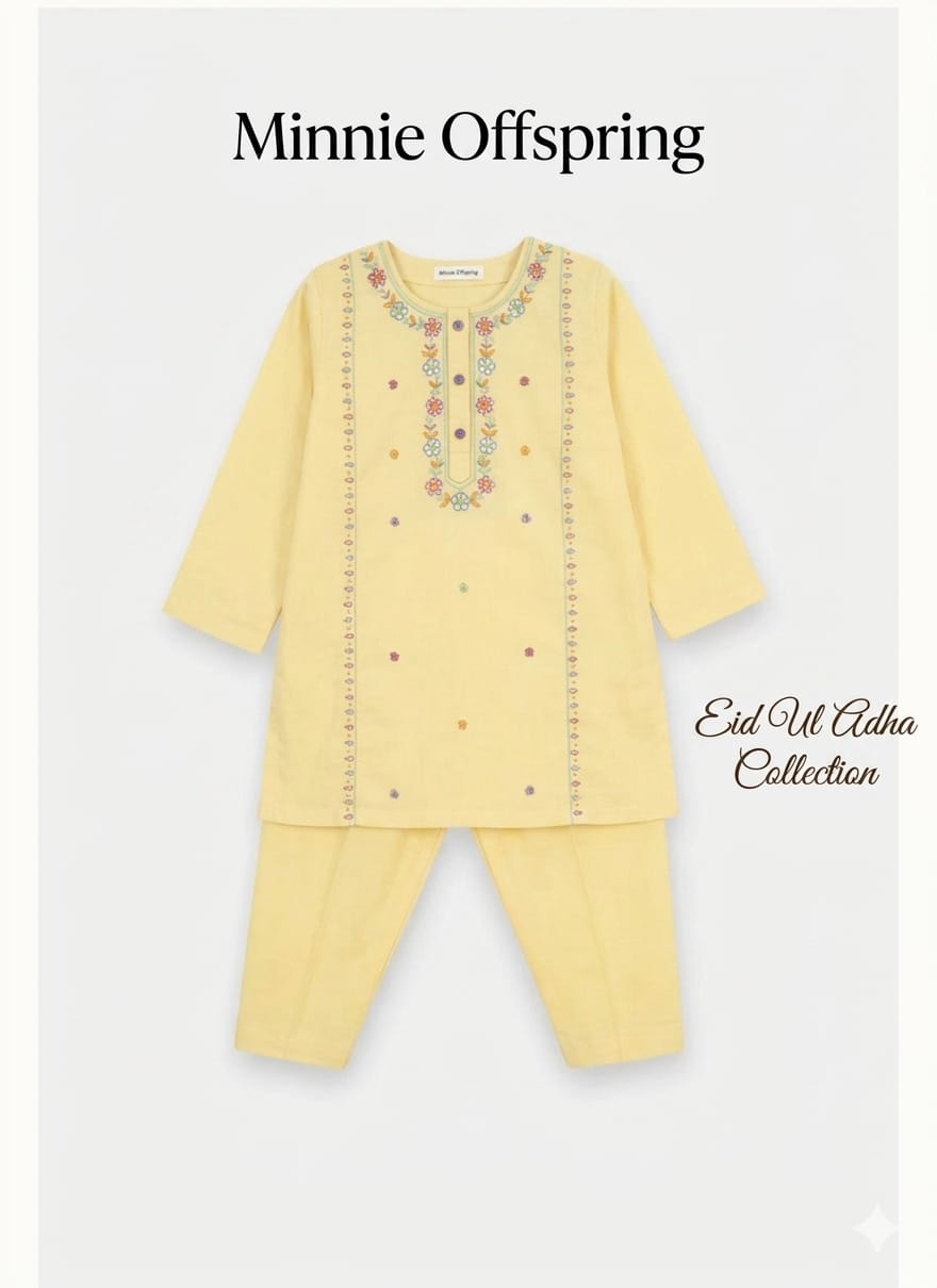 Embroidered Kameez & Trousers