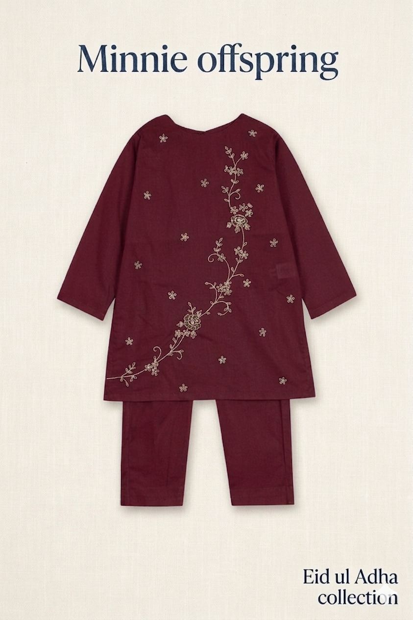 Embroidered Kameez & Trousers