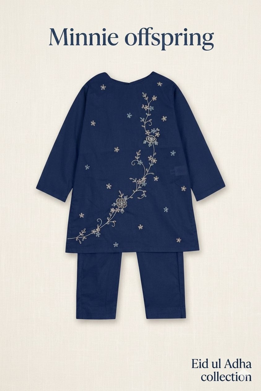 Embroidered Kameez & Trousers