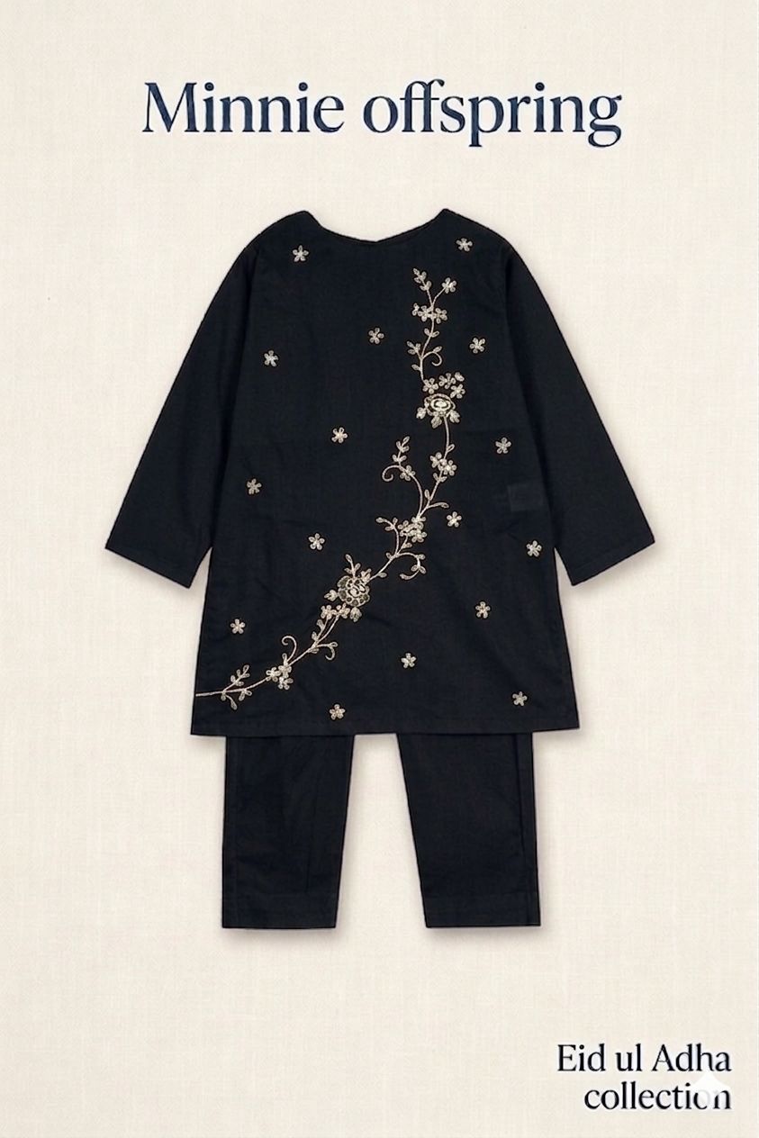 Embroidered Kameez & Trousers