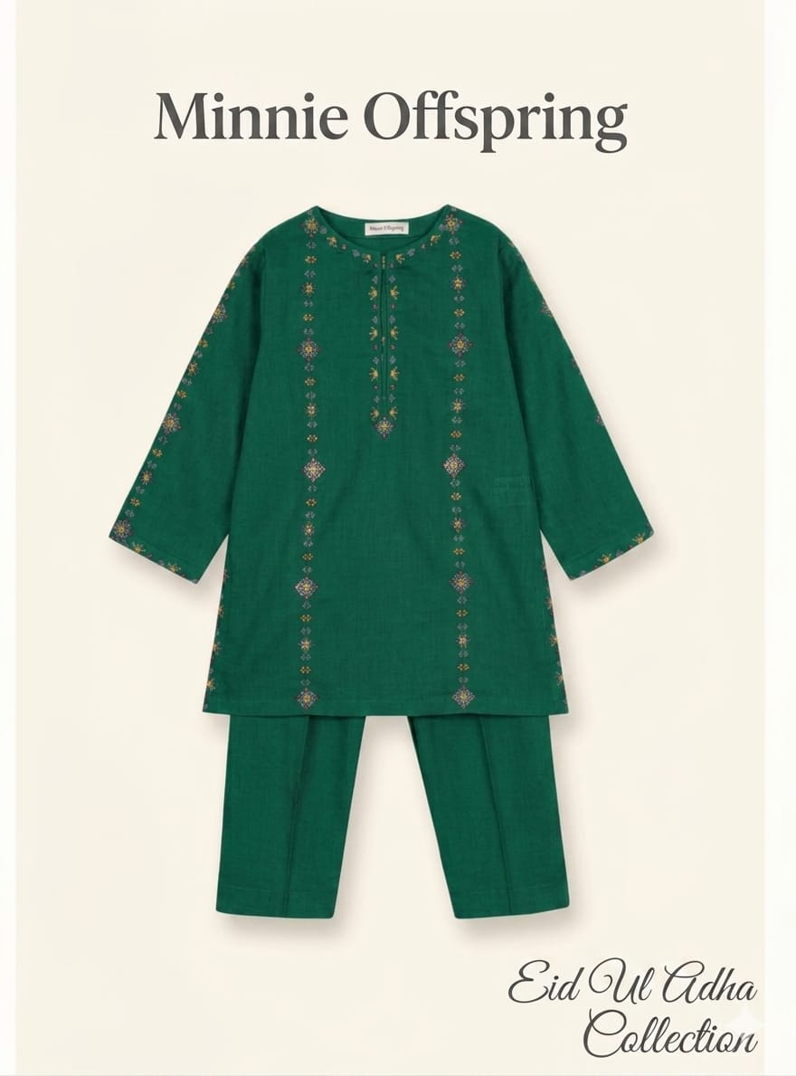 Embroidered Kameez & Trousers