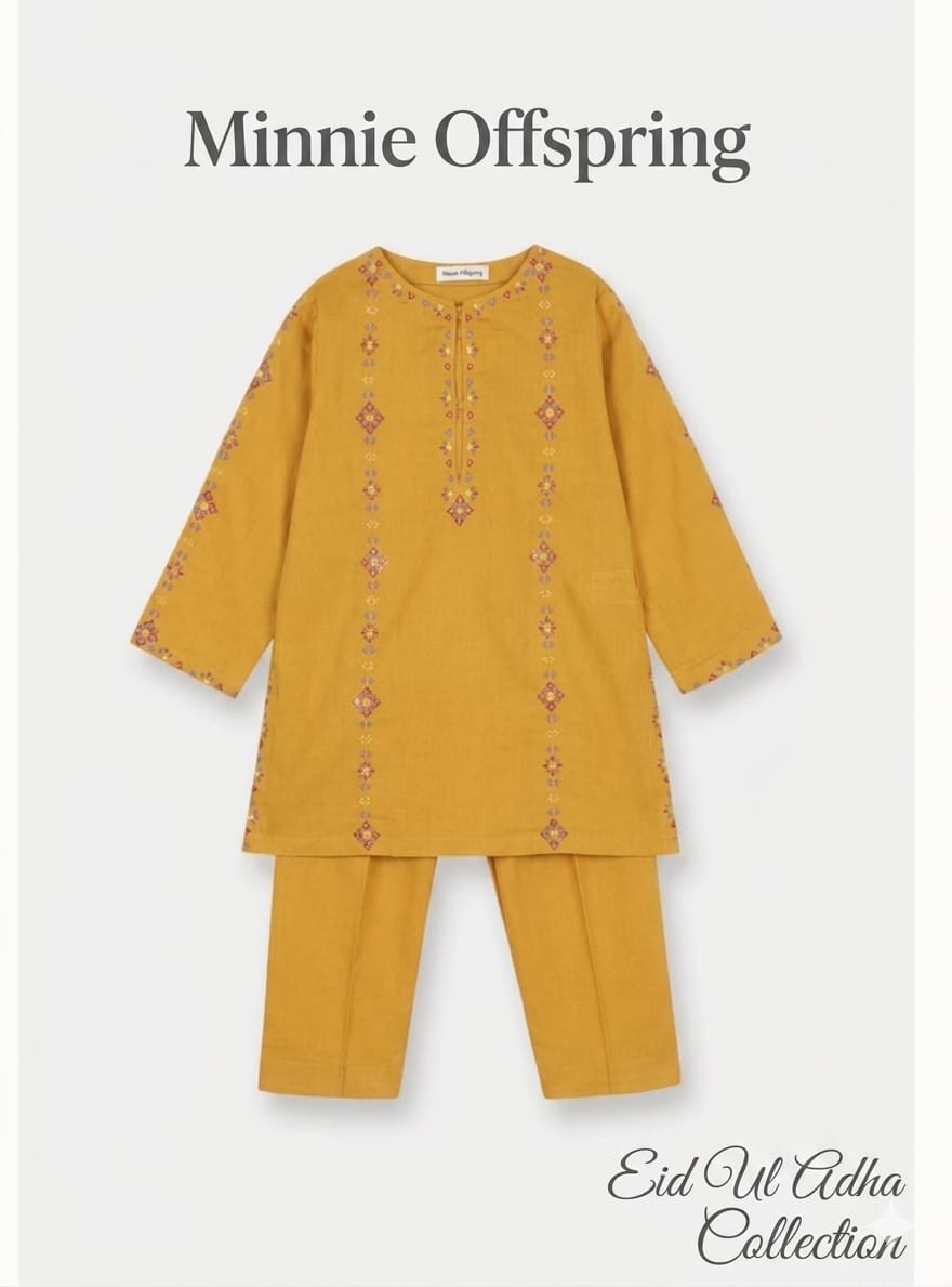 Embroidered Kameez & Trousers